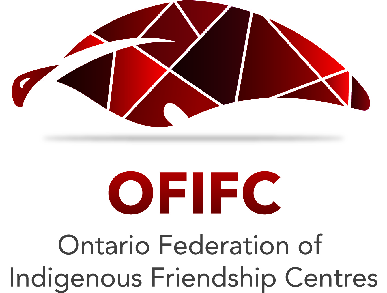 Fédération des centres d’amitié autochtones de l’Ontario